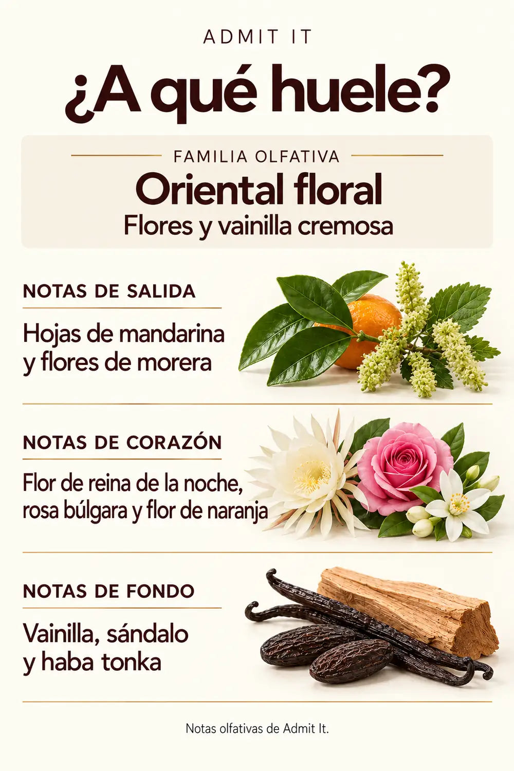 Familia oriental floral de Admit It y notas de salida, corazón y fondo: flores, vainilla, sándalo y haba tonka.
