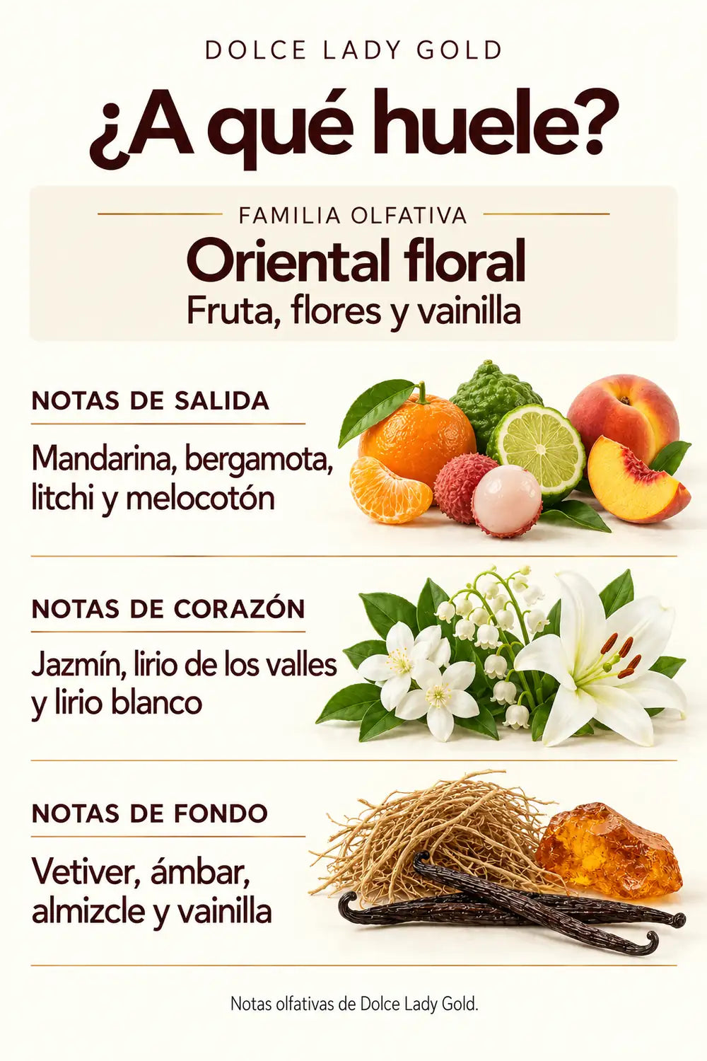 Notas de Dolce Lady Gold: mandarina, bergamota, litchi, melocotón, flores blancas, vetiver, ámbar, almizcle y vainilla.