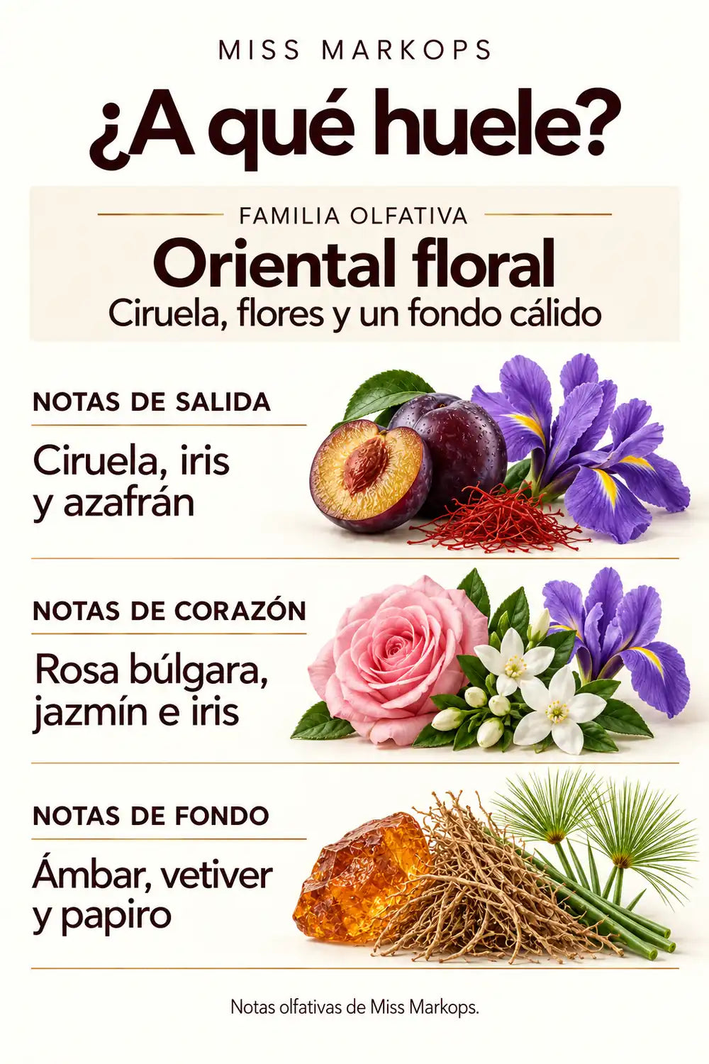 Notas de Miss Markops: ciruela, iris, azafrán, rosa búlgara, jazmín, ámbar, vetiver y papiro. Familia oriental floral.