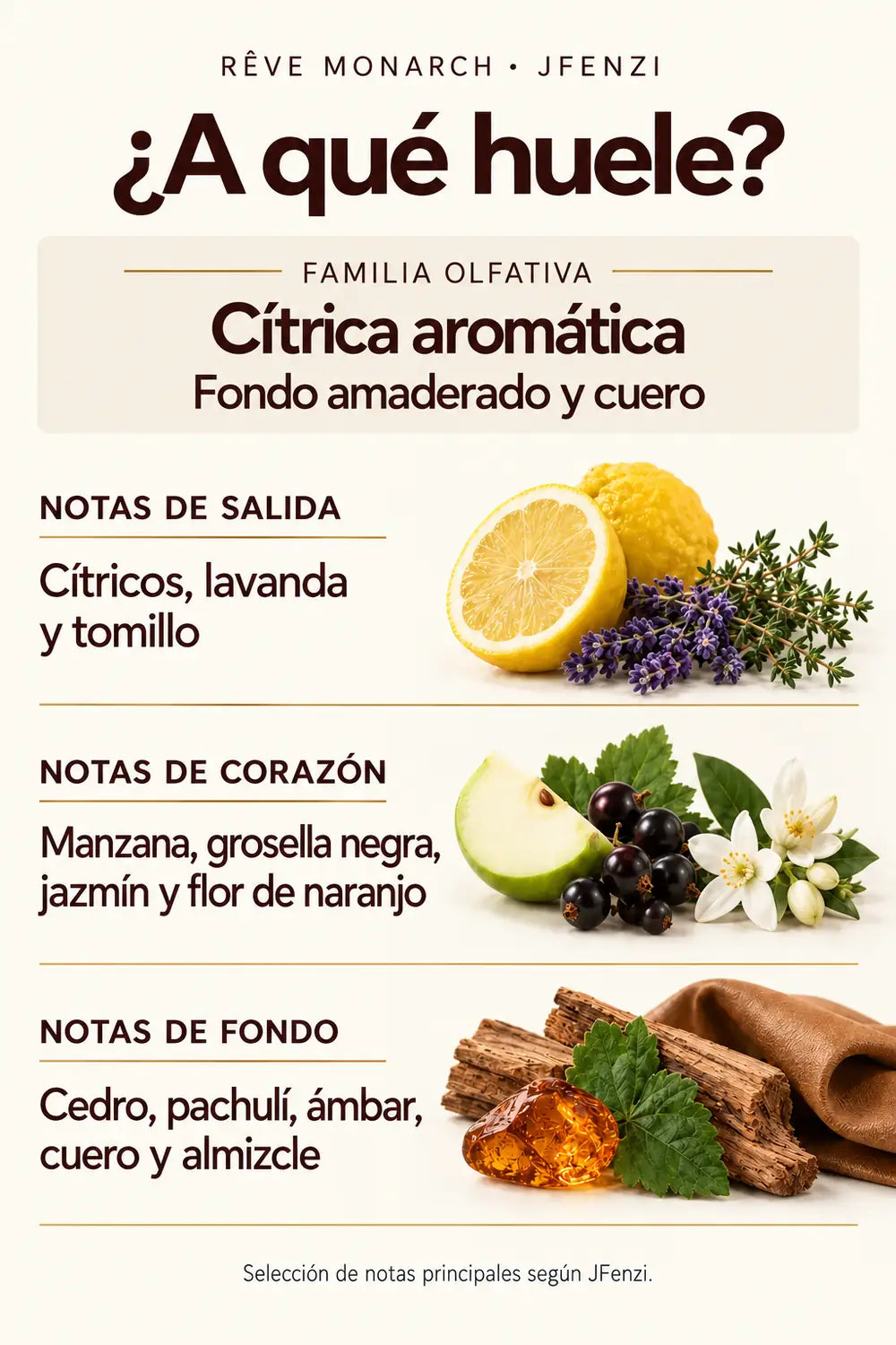 Familia y selección de notas olfativas principales de Rêve Monarch.
