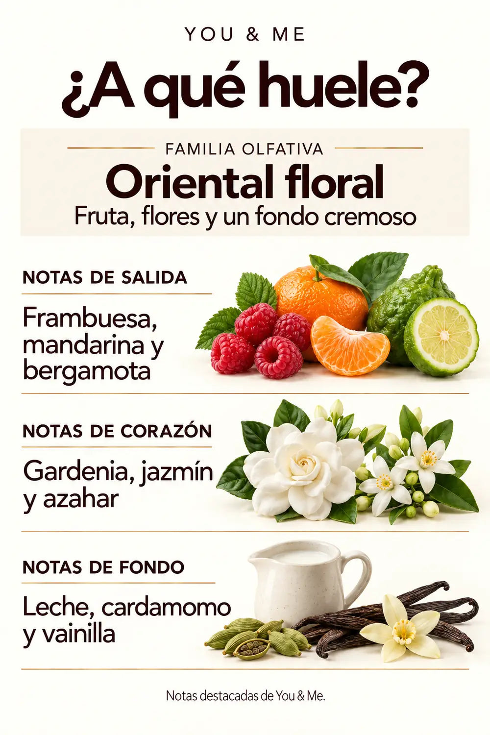 Familia oriental floral y notas destacadas de You & Me: frambuesa, cítricos, flores blancas, leche, cardamomo y vainilla.
